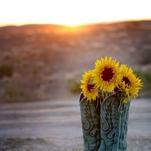 Meet your Posher, Joanna